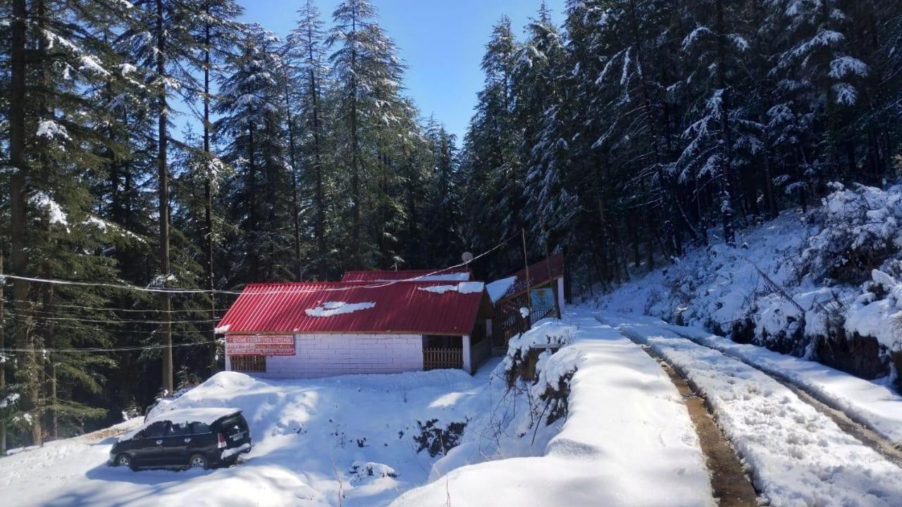Matri Pitri Cottage Matiana 外观 照片